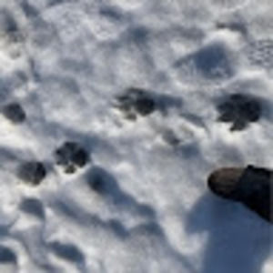 Meet your Posher, Hisako